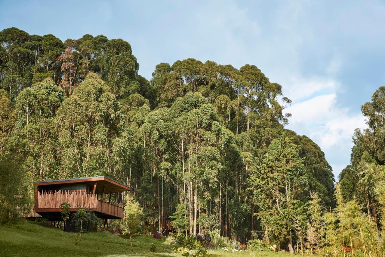 One&Only Gorilla'S Nest Hotel Kinigi ภายนอก รูปภาพ