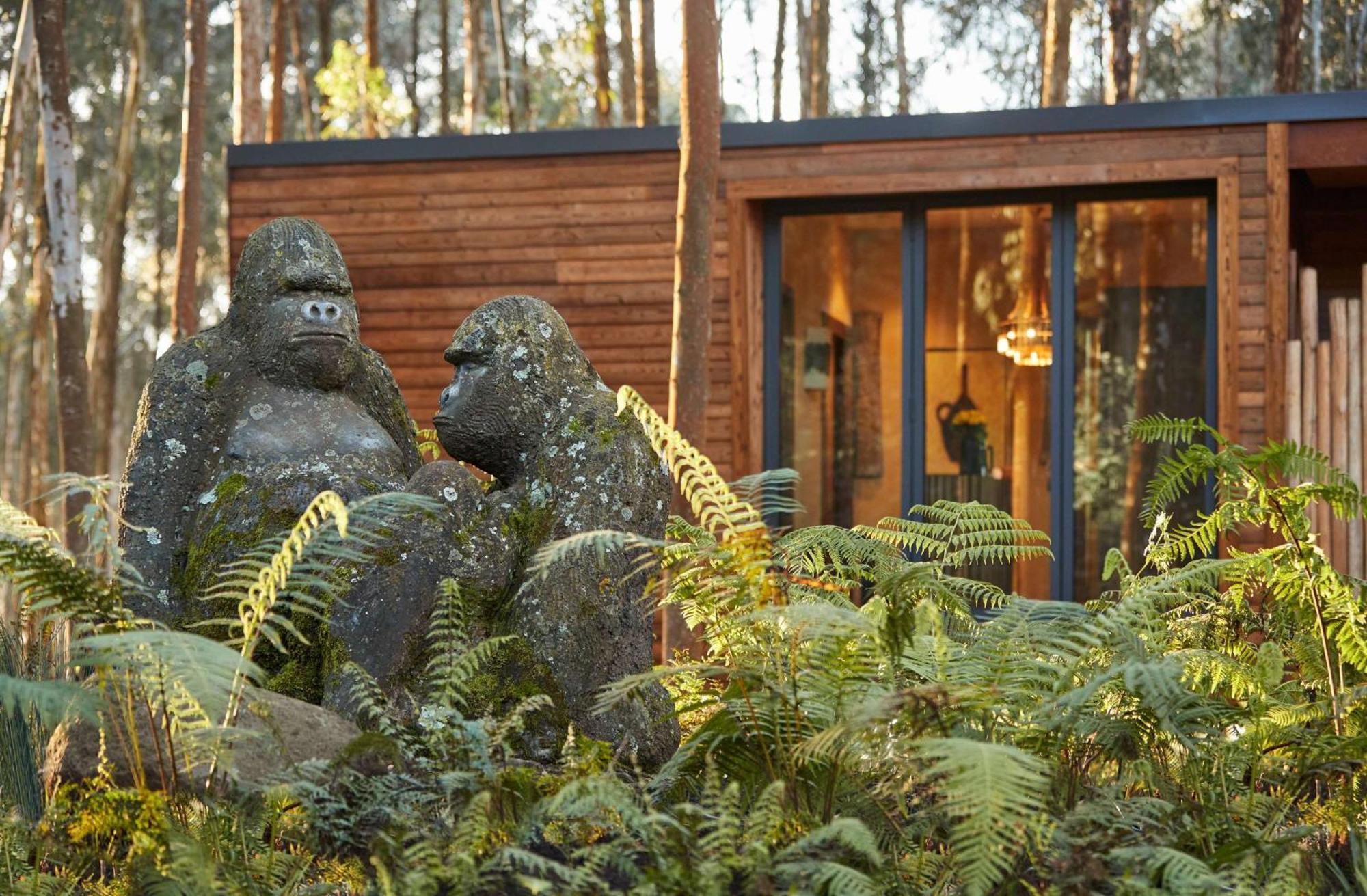 One&Only Gorilla'S Nest Hotel Kinigi ภายนอก รูปภาพ