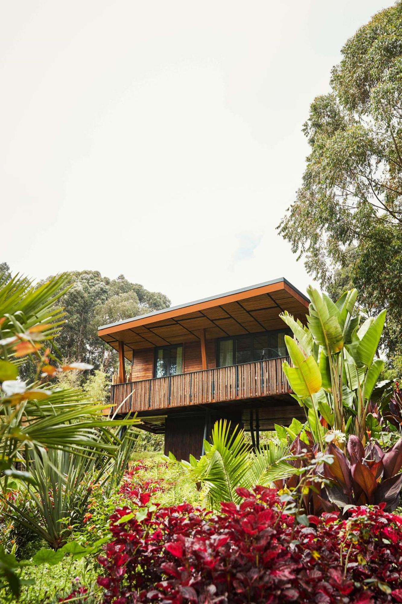 One&Only Gorilla'S Nest Hotel Kinigi ภายนอก รูปภาพ