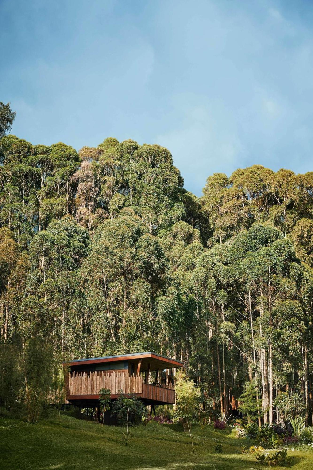 One&Only Gorilla'S Nest Hotel Kinigi ภายนอก รูปภาพ