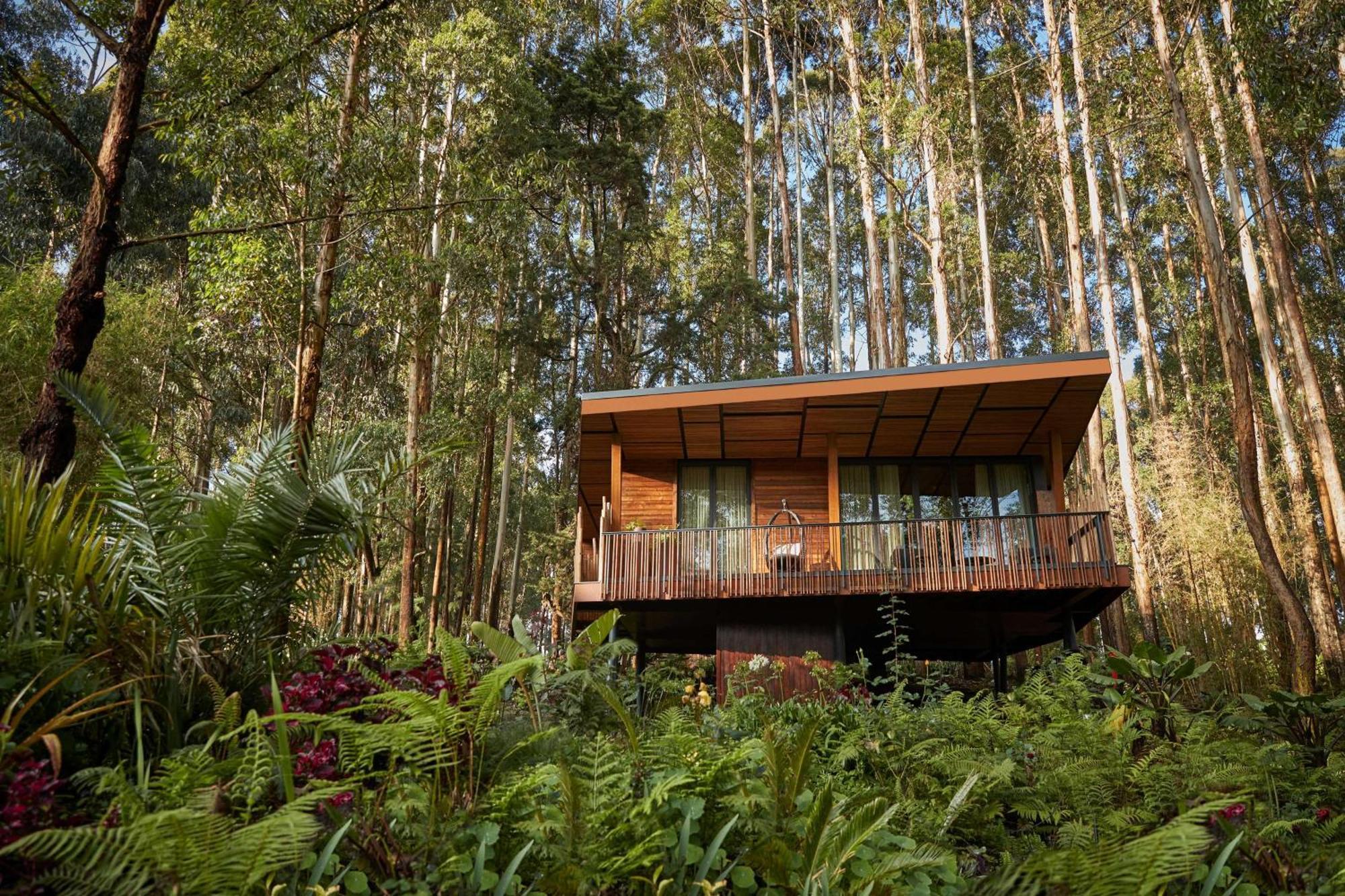 One&Only Gorilla'S Nest Hotel Kinigi ภายนอก รูปภาพ