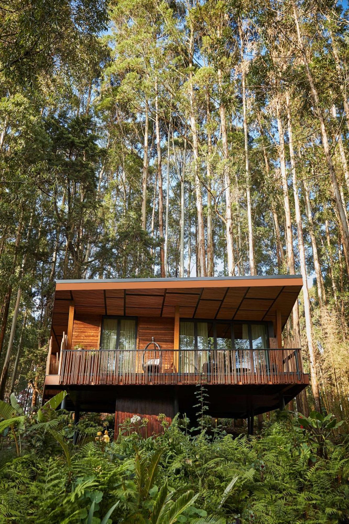 One&Only Gorilla'S Nest Hotel Kinigi ภายนอก รูปภาพ