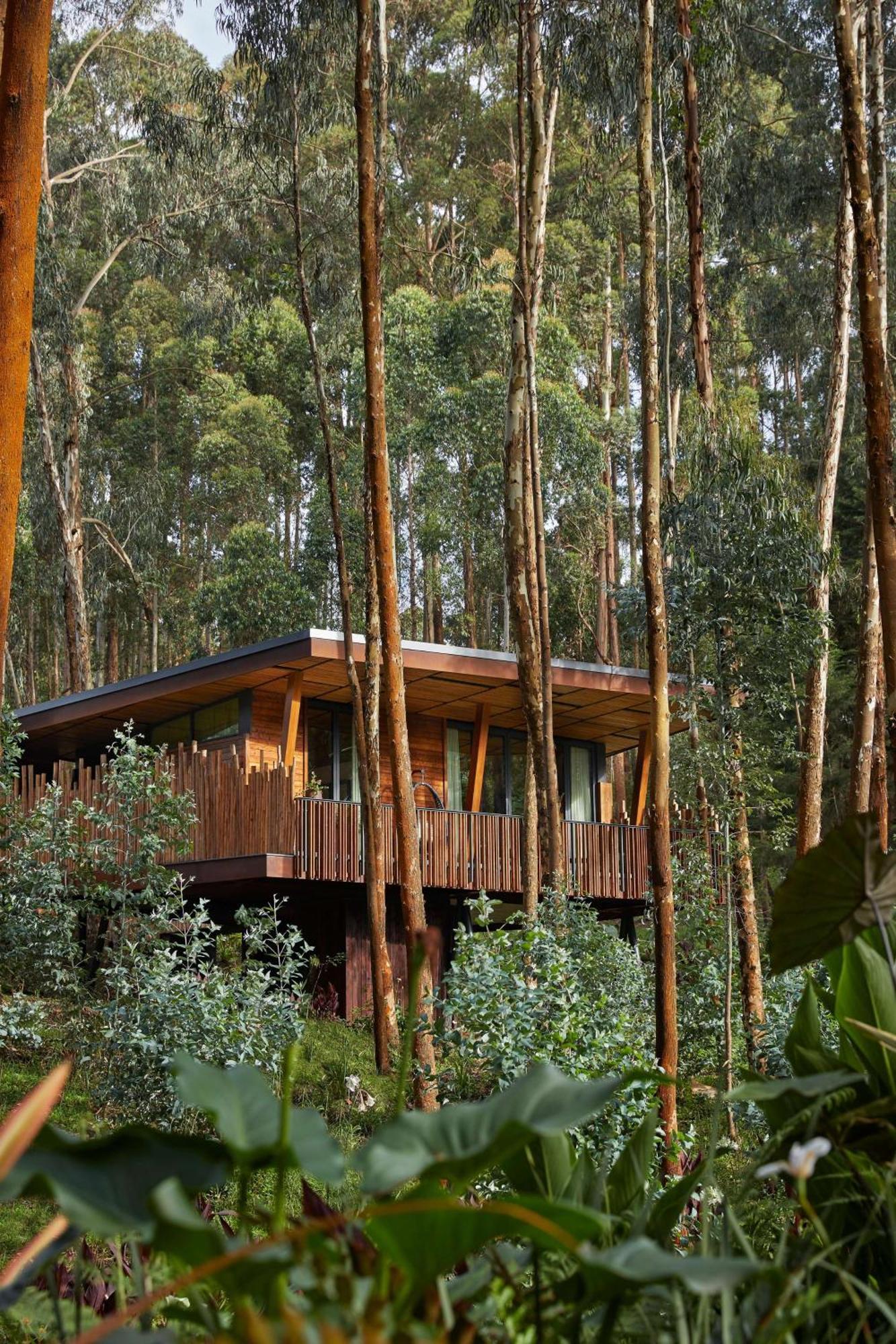 One&Only Gorilla'S Nest Hotel Kinigi ภายนอก รูปภาพ