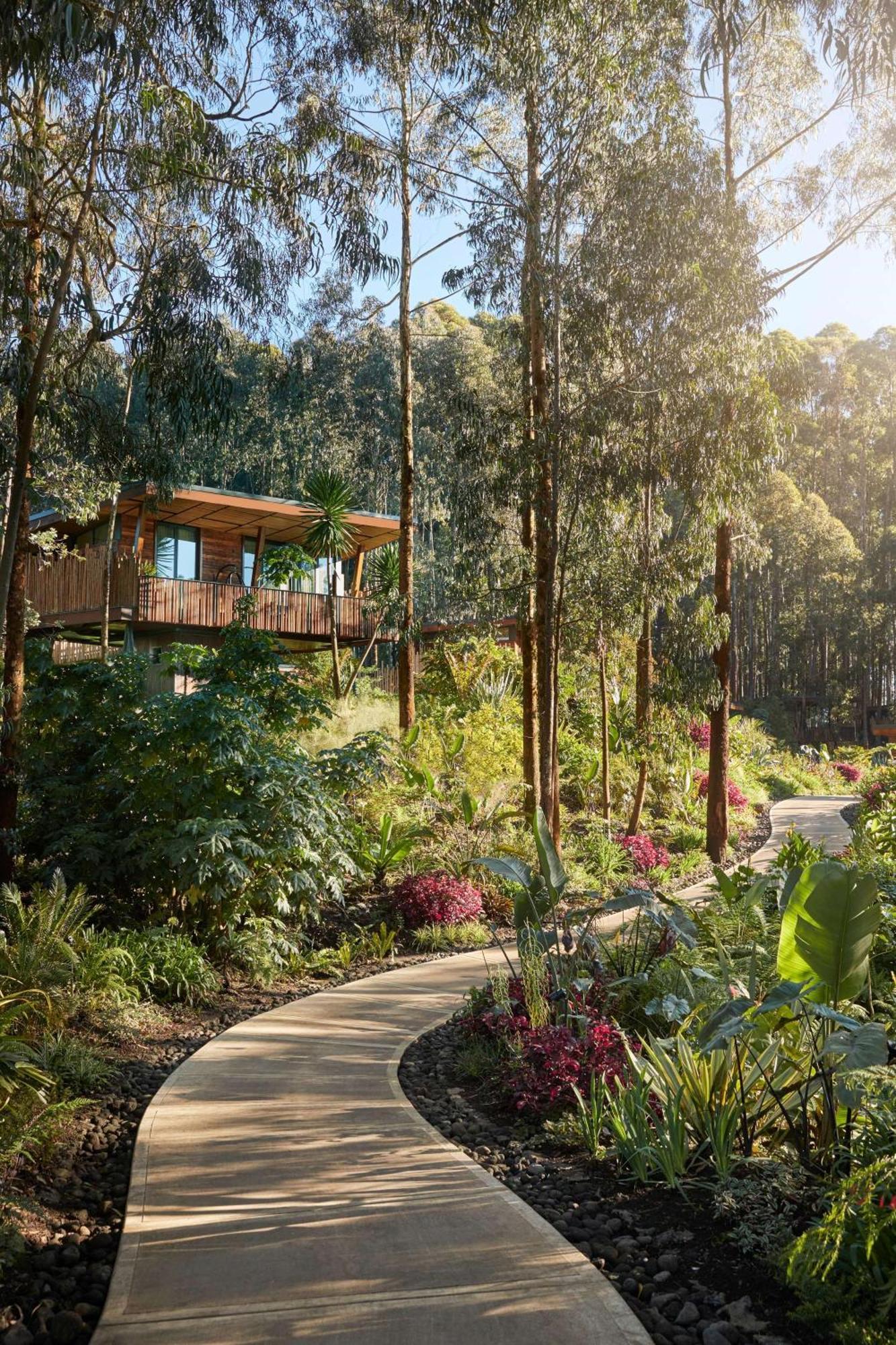 One&Only Gorilla'S Nest Hotel Kinigi ภายนอก รูปภาพ