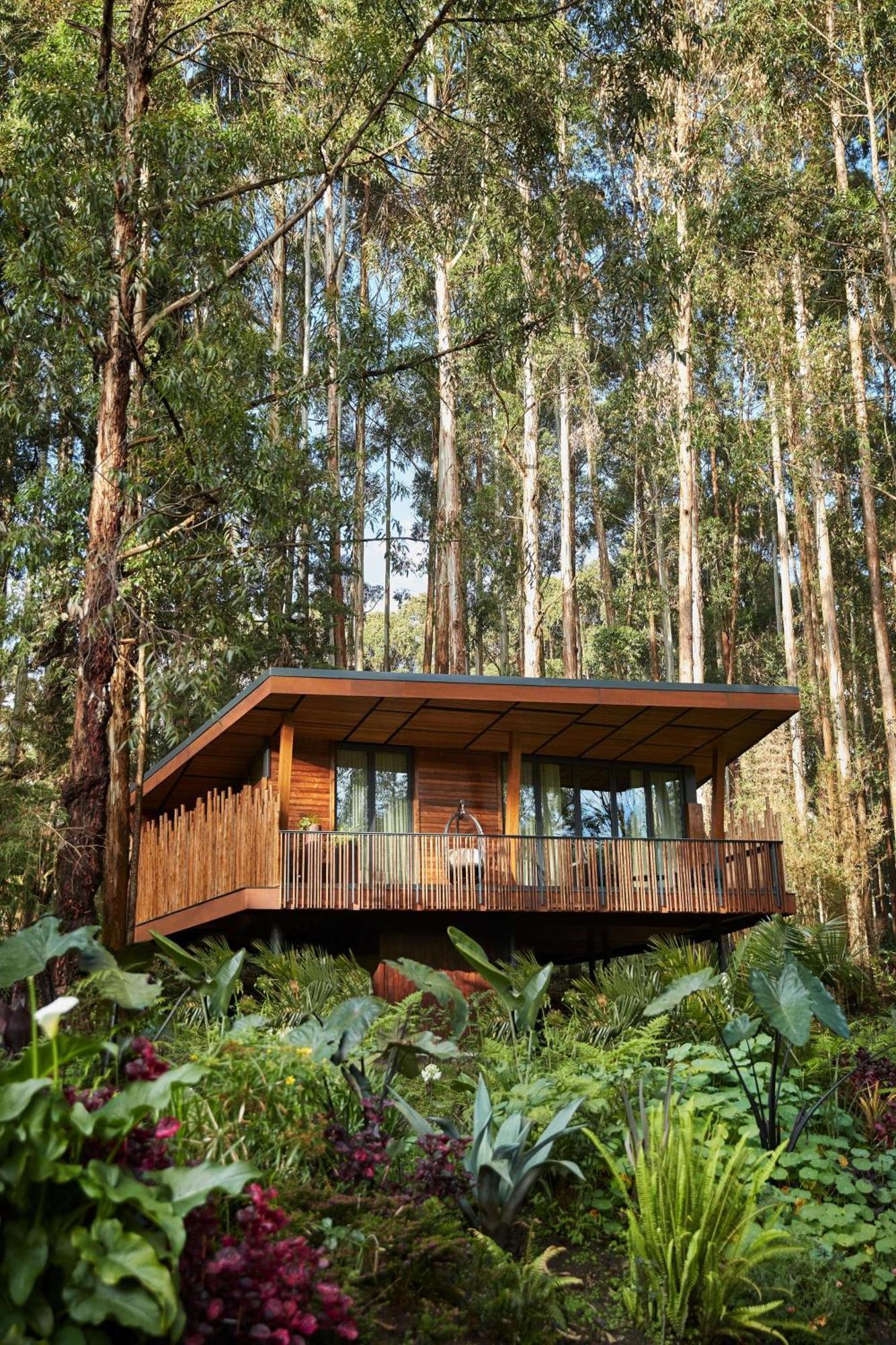 One&Only Gorilla'S Nest Hotel Kinigi ภายนอก รูปภาพ